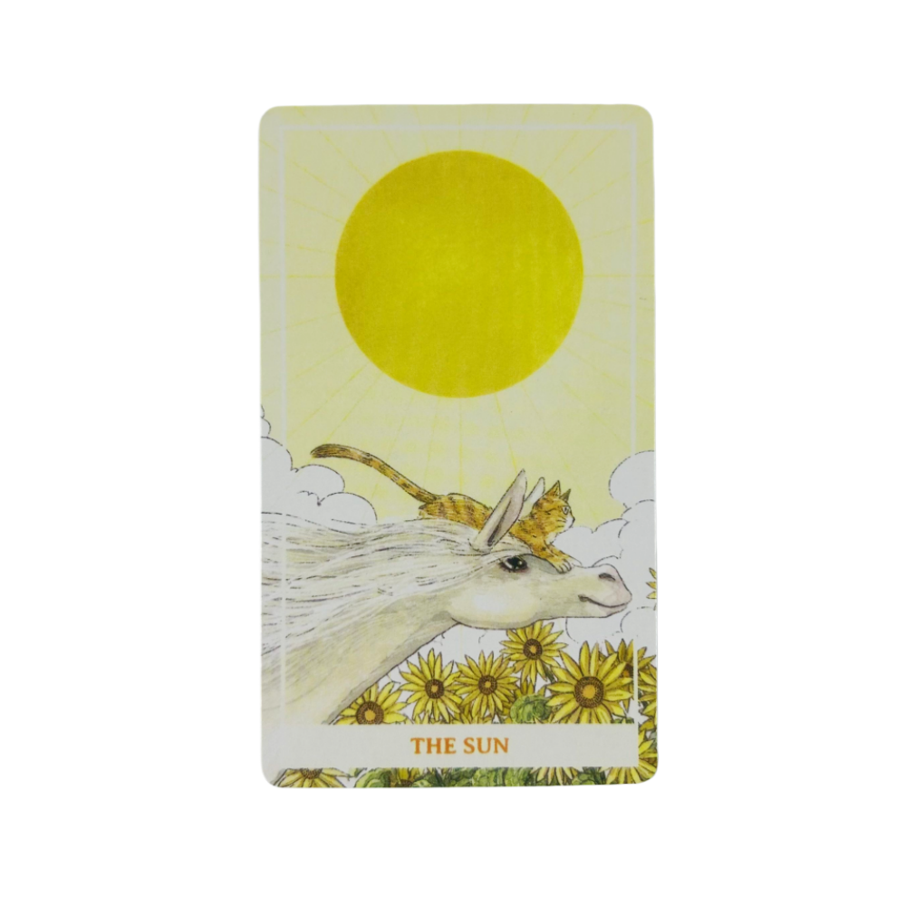 Sunny Orange Cat Tarot Deck A  - Party Games Sunny review and price
